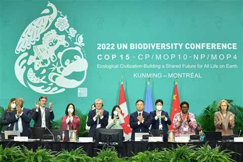 Q&A: What progress has been made on protecting nature a year on from COP15?