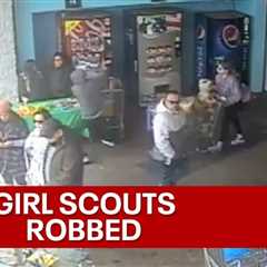 Robber steals money from Girl Scouts cookie stand