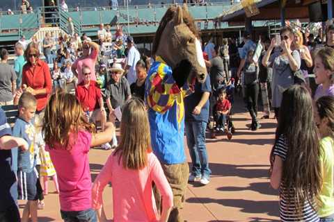 Celebrate Spring in Maricopa County, Arizona: The Best Festivals to Enjoy