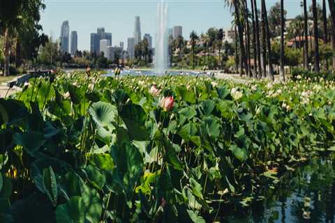 The Digital Evolution of Memorial Parks in Los Angeles County, CA