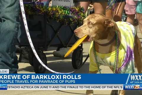 Krewe of Barkloxi Parade rolls through Biloxi