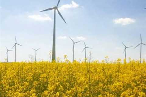 A Journey Through Germany's Majestic Wind Farms