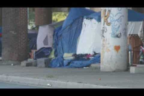 Progress made in Orleans Parish homeless encampments