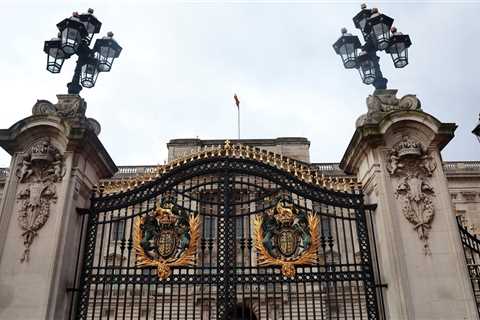 Car crashes into Buckingham Palace gates, driver arrested |  World News