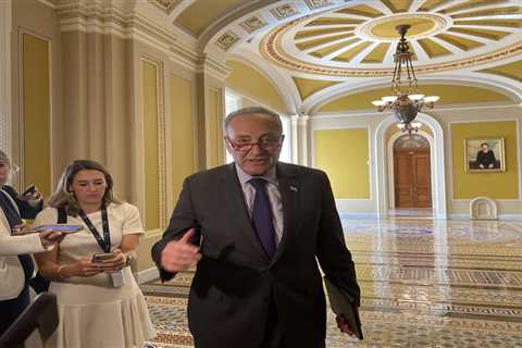 Schumer levels heavy criticism at Israel on U.S. Senate floor, calls for elections there •