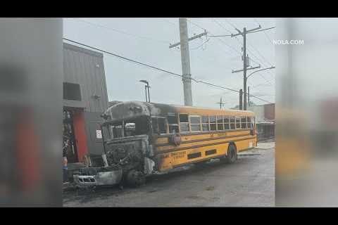 School bus driver hailed as hero after fire