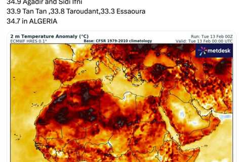 Climate change made west Africa’s ‘dangerous humid heatwave’ 10 times more likely