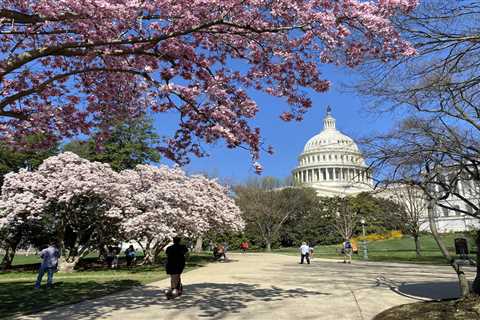 Congress struggles to finish work on spending bills as another Friday deadline nears • Florida..