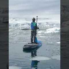 Once in a lifetime memory! Woman spots whales nearby while paddleboarding in Antartica