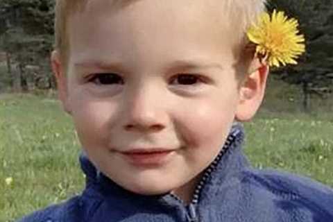 Remains of little French boy Émile Soleil who vanished without trace eight months ago aged two are..