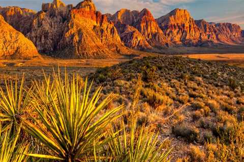 Exploring the Political Landscape of Las Vegas, Nevada