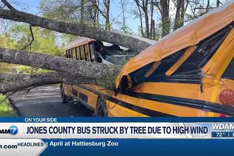 HFD, Forestry Commission team up to battle Hattiesburg brushfire