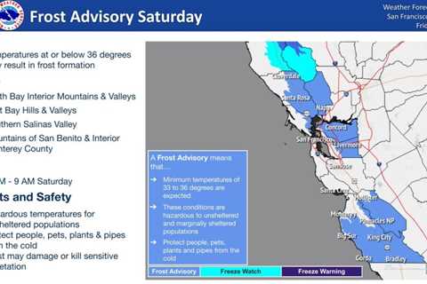 Frost advisory issued Saturday for parts of Bay Area