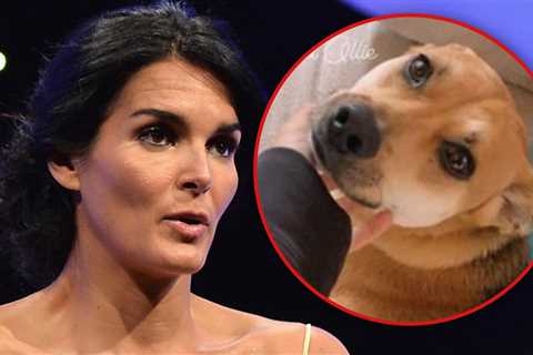 Angie Harmon’s Deceased Dog Did Bite Instacart Worker, Cops Claim