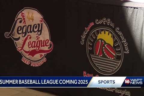 New summer baseball league to debut in 2025