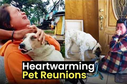 Heartwarming Pet Reunions