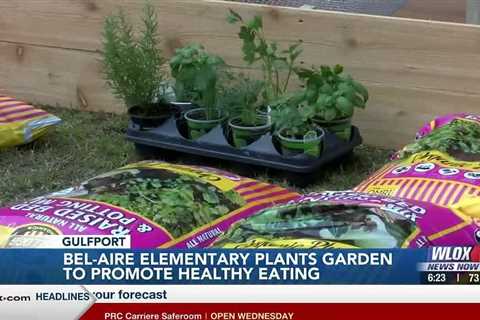 Bel-Aire Elementary School plants garden to promote healthy eating