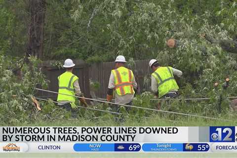 Numerous trees, power lines downed by storms in Madison County