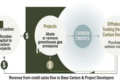 Base Carbon Receives First-Ever Article 6 Authorized Carbon Credits