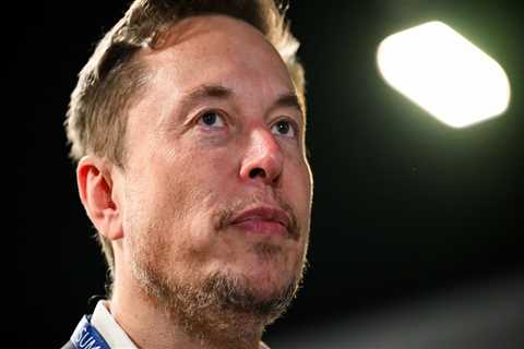 Elon Musk's pay-deal vote is the ultimate 'meme stock' test for Tesla, investor says