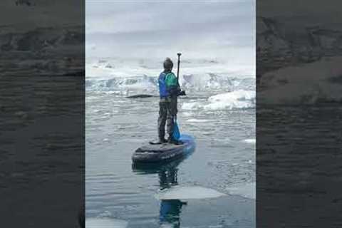 Once in a lifetime memory! Woman spots whales nearby while paddleboarding in Antartica