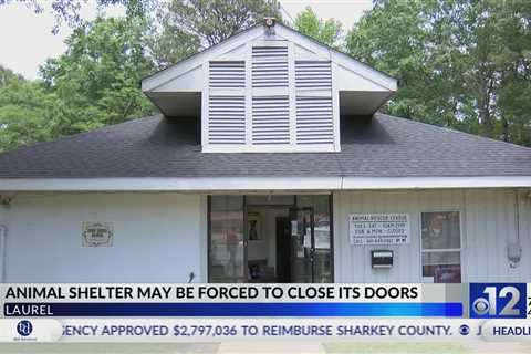 Laurel animal shelter may be forced to close its doors