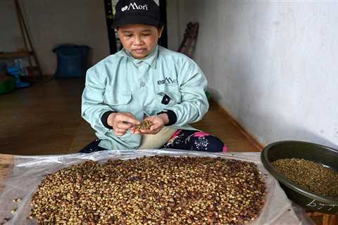 Your latte could get even more expensive, thanks to a drought in Vietnam that's strangling coffee..