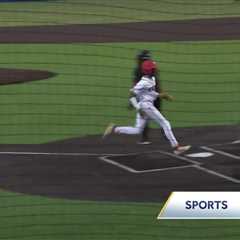 Three area teams punch ticket to state baseball finals