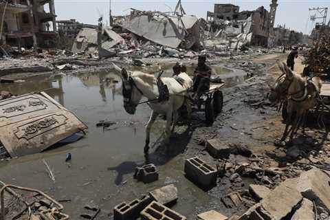 Donkey and trailer trudge through the devastated Gaza Strip amid hopes of a ceasefire