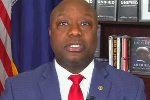 Tim Scott Humiliates Himself By Refusing To Accept 2024 Election Results