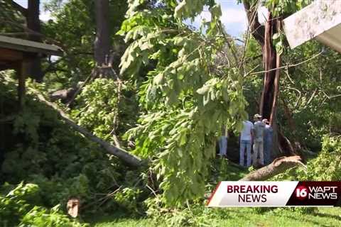 Tree falls through house in Rankin County