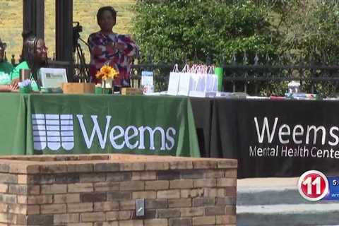 Mental Health Awareness Fair, Weems