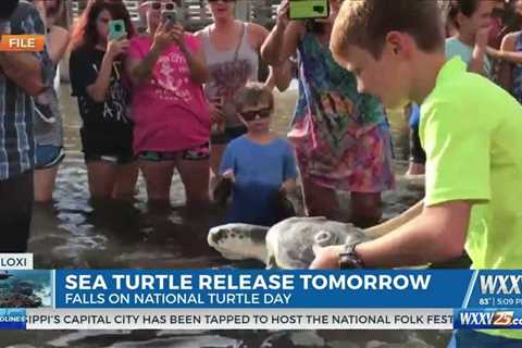 Mississippi Aquarium hosting turtle release on May 23