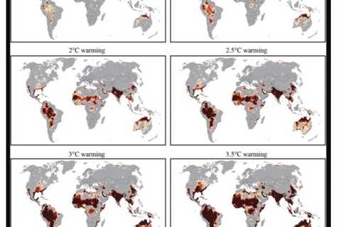 Developing countries need support adapting to deadly heat