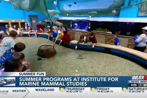 Institute for Marine Mammal Studies in Gulfport hosting summer programs