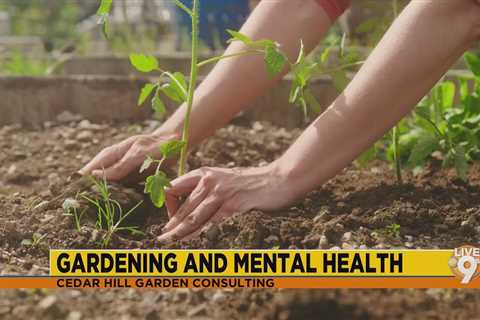 Gardening and Mental Health