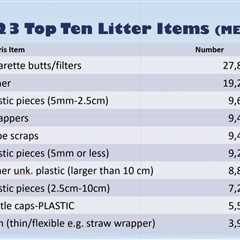 More than 162,000 Pieces of Litter Removed in 2023