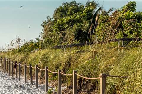 Uncovering the Fascinating History of Lee County, FL through Virtual Museum Tours