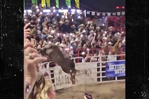 Oregon Rodeo Bull Won’t Be Put Down Following Rampage, Officials Say