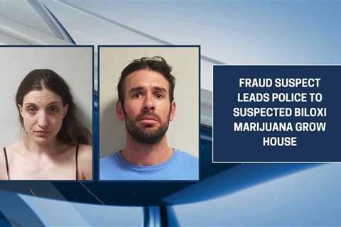 Fraud suspect leads police to suspected Biloxi marijuana grow house