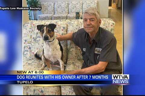 Dog reunited with owner after seven months in Lee County