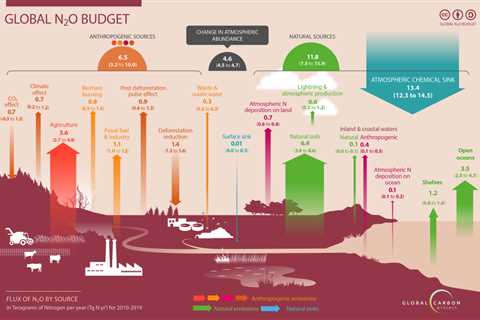 Agriculture ‘major driver’ of rise in nitrous oxide emissions over past 40 years