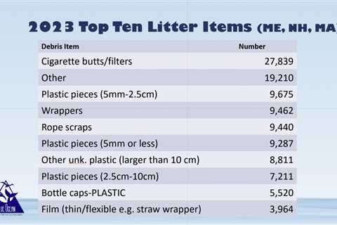 More than 162,000 Pieces of Litter Removed in 2023