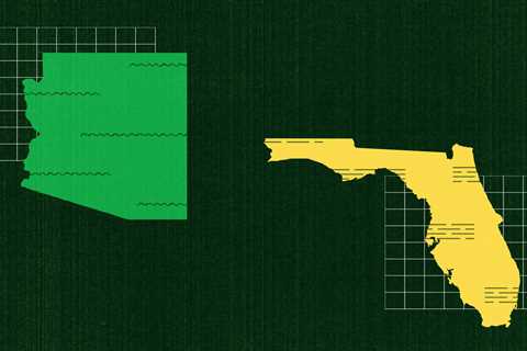 A Tale of Two States: Arizona and Florida Diverge on How To Expand Kids’ Health Insurance