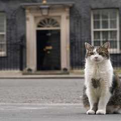Downing Street Mouse-Catcher Larry 'Threatened' by Keir Starmer's Family Cat JoJo