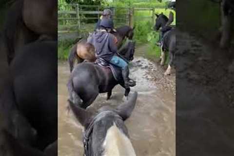 Rider Panics As Horse Decides To Take A Bath