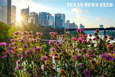 Abbott, Patrick slam CenterPoint Energy for Houston outages