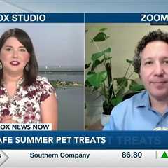 Safe summertime pet treats with Dr. Gary Richter