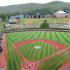 LLWS roundup: Venezuela gets revenge on Japan, Florida moves on