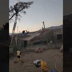 Man Falls Whilst Trimming Branches